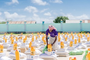 Fonds alimentaire