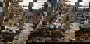 La Palestine est à reconstruire !