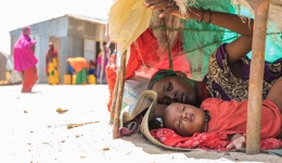 Don Zakat Al Maal  2025 | Calculez votre Zakât