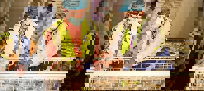 Human Appeal poursuit régulièrement la distribution de repas chauds à l’hôpital Al-Naw d’Omdurman, en étroite coordination avec le personnel médical. Chaque jour, entre 200 et 400 repas sont préparés sur place, incluant des options liquides ou adaptées aux patients les plus fragiles, afin de répondre aux besoins nutritionnels de chacun.