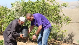 Sadaqa Jariya | Une aumône continue