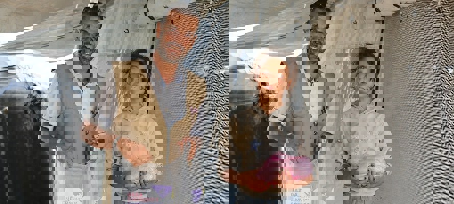 Communiqué de Human Appeal sur le cessez-le-feu à Gaza (Octobre 2025)