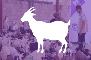 Chèvre pour l'Aïd al-Adha