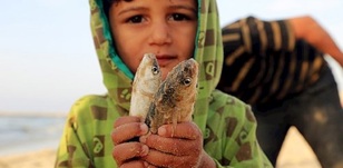 Les pêcheurs de Gaza luttent pour nourrir leurs familles