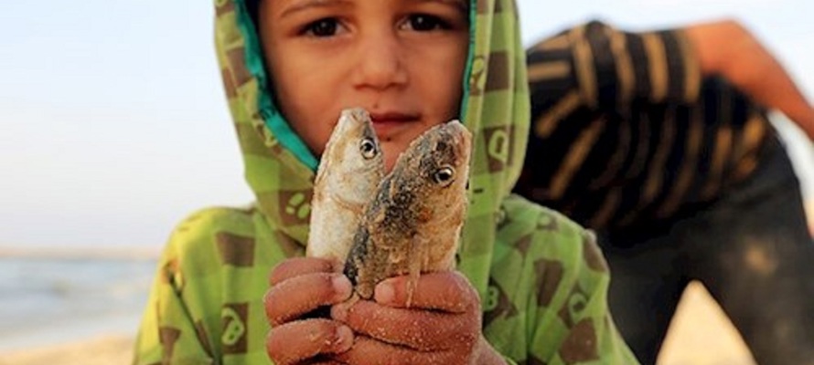Les pêcheurs de Gaza luttent pour nourrir leurs familles