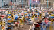 Cessez-le-feu à Gaza